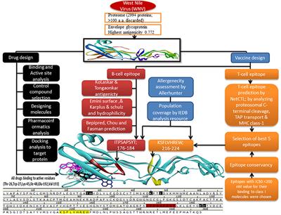 An Immunopharmacoinformatics Approach in Development of Vaccine and Drug Candidates for West Nile Virus